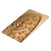 Magnet Flexible crotale de diamondin (Côté Gauche)