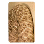 Magnet Flexible crotale de diamondin (Vertical)