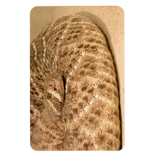 Magnet Flexible crotale de diamondin (Vertical)