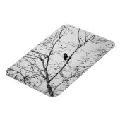 Magnet Flexible Crow dans un Birch Tree (Côté Gauche)