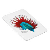 Magnet Flexible Crowntail betta fish dessin animé (Côté Droit)