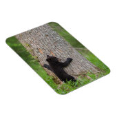 Magnet Flexible Cube d'ours noir | Great Smoky Mountains (Côté Droit)