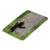 Magnet Flexible Cube d'ours noir | Great Smoky Mountains (Côté Gauche)