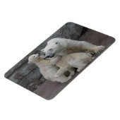 Magnet Flexible Cubes d'ours polaires (Côté Gauche)