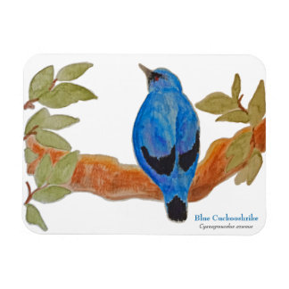 Magnet Flexible Cuckooshrike bleu sur la branche Aquarelle Bird
