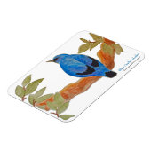Magnet Flexible Cuckooshrike bleu sur la branche Aquarelle Bird (Côté Gauche)