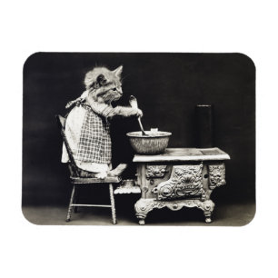 Magnet Flexible Cuisine et Cuisine Vintage Funny Kitten