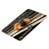 Magnet Flexible Cuisses Catnap (Côté Gauche)