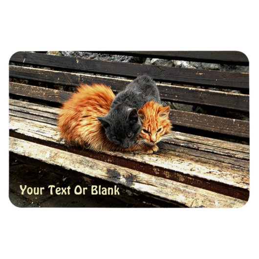 Magnet Flexible Cuisses Catnap (Horizontal)