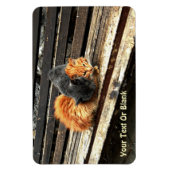 Magnet Flexible Cuisses Catnap (Vertical)