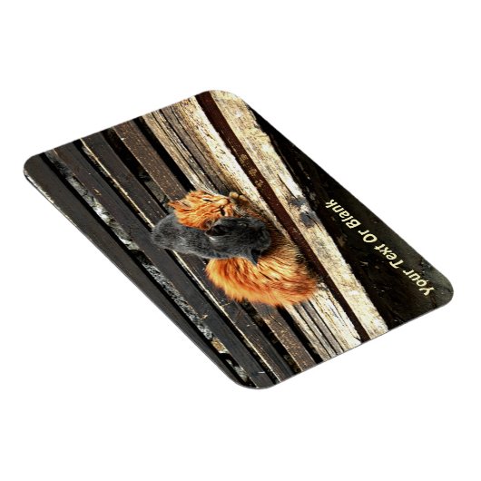 Magnet Flexible Cuisses Catnap (Côté Droit)