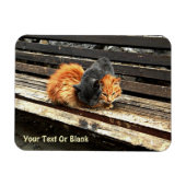 Magnet Flexible Cuisses Catnap (Horizontal)