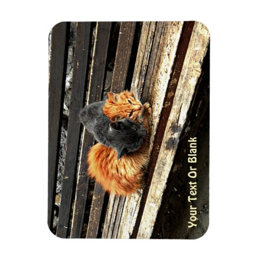 Magnet Flexible Cuisses Catnap (Vertical)