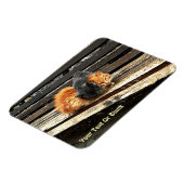 Magnet Flexible Cuisses Catnap (Côté Gauche)