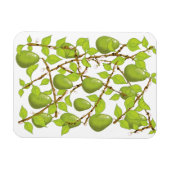 Magnet Flexible Cultiver des poires (Horizontal)