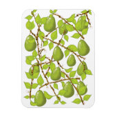 Magnet Flexible Cultiver des poires (Vertical)