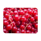 Magnet Flexible Curateur rouge (Horizontal)