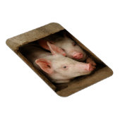 Magnet Flexible Curious Piglets (Côté Droit)