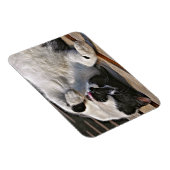 MAGNET FLEXIBLE CUT CAT (Côté Droit)