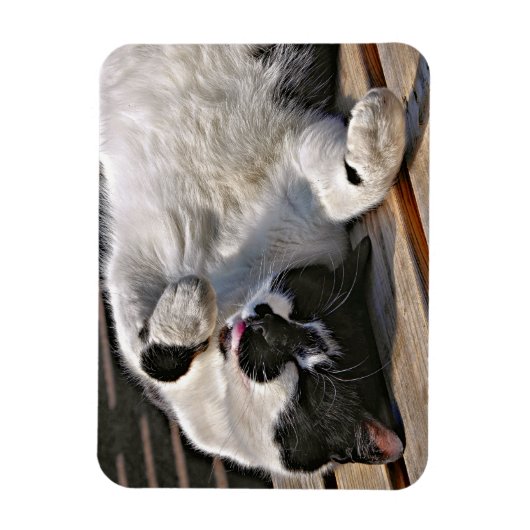 MAGNET FLEXIBLE CUT CAT (Vertical)