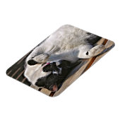 MAGNET FLEXIBLE CUT CAT (Côté Gauche)