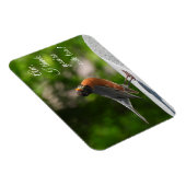 Magnet Flexible Cute American Robin *personnaliser* (Côté Droit)
