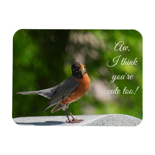 Magnet Flexible Cute American Robin *personnaliser* (Horizontal)