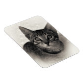 Magnet Flexible Cute Bengal Kitten (Côté Droit)