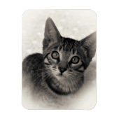 Magnet Flexible Cute Bengal Kitten (Vertical)