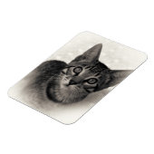 Magnet Flexible Cute Bengal Kitten (Côté Gauche)