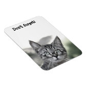 Magnet Flexible Cute Chat surpris avec le aimant de lunettes (Côté Droit)