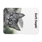 Magnet Flexible Cute Chat surpris avec le aimant de lunettes (Horizontal)