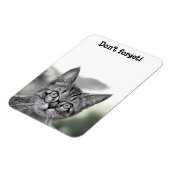 Magnet Flexible Cute Chat surpris avec le aimant de lunettes (Côté Gauche)