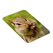 Magnet Flexible Cute Cheeky Chipmunk (Côté Droit)