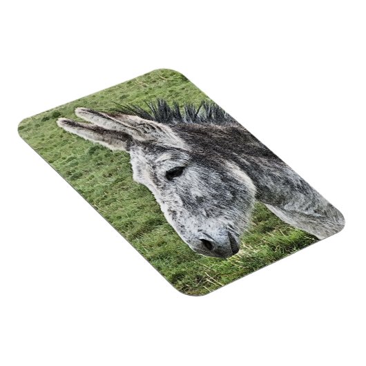 MAGNET FLEXIBLE CUTE DONKEY (Côté Droit)