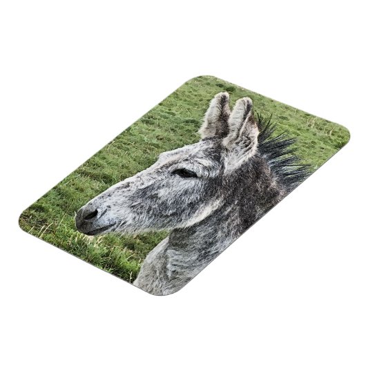 MAGNET FLEXIBLE CUTE DONKEY (Côté Gauche)