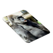 MAGNET FLEXIBLE CUTE GORILLA (Côté Droit)