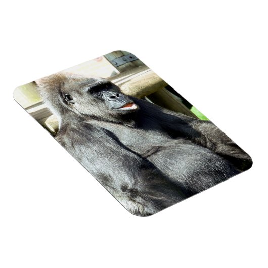 MAGNET FLEXIBLE CUTE GORILLA (Côté Droit)