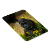 Magnet Flexible Cute Gorilla Baby (Côté Droit)