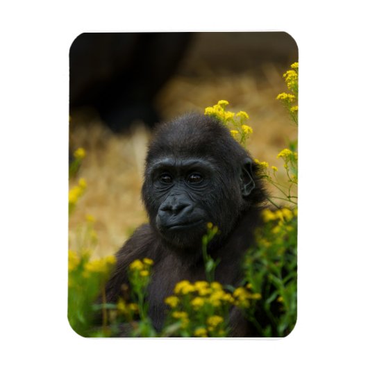 Magnet Flexible Cute Gorilla Baby (Vertical)