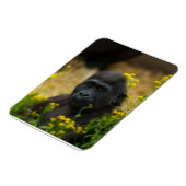 Magnet Flexible Cute Gorilla Baby (Côté Gauche)