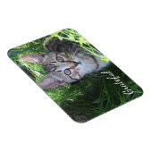 Magnet Flexible Cute Gratitude Kitten (Côté Droit)