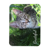 Magnet Flexible Cute Gratitude Kitten (Vertical)