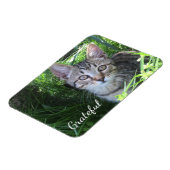 Magnet Flexible Cute Gratitude Kitten (Côté Gauche)