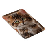 Magnet Flexible Cute Kitten (Côté Droit)