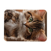 Magnet Flexible Cute Kitten (Horizontal)
