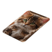 Magnet Flexible Cute Kitten (Côté Gauche)