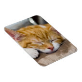Magnet Flexible Cute Kitten (Côté Droit)