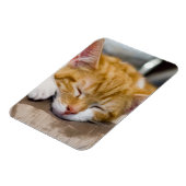 Magnet Flexible Cute Kitten (Côté Gauche)