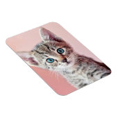 Magnet Flexible Cute kitten with blue eyes. (Côté Droit)